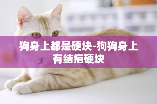 狗身上都是硬塊-狗狗身上有結疤硬塊