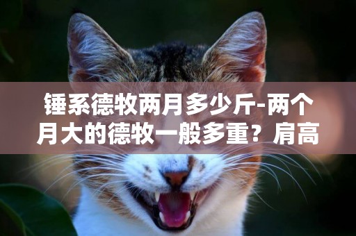 錘系德牧兩月多少斤-兩個月大的德牧一般多重？肩高多少？