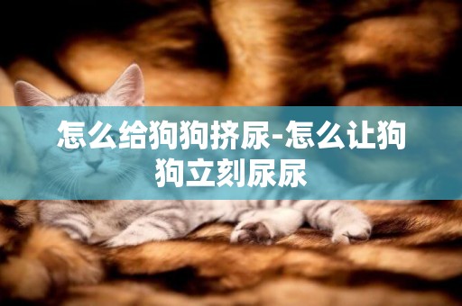 怎么給狗狗擠尿-怎么讓狗狗立刻尿尿
