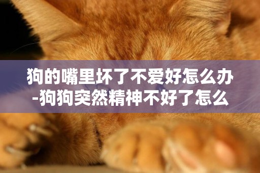 狗的嘴里壞了不愛好怎么辦-狗狗突然精神不好了怎么辦？