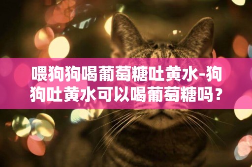 喂狗狗喝葡萄糖吐黃水-狗狗吐黃水可以喝葡萄糖嗎？