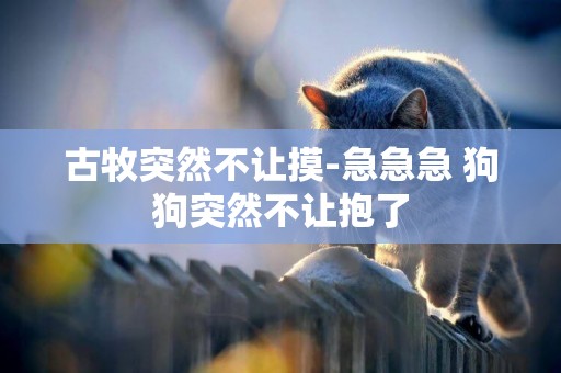 古牧突然不讓摸-急急急 狗狗突然不讓抱了