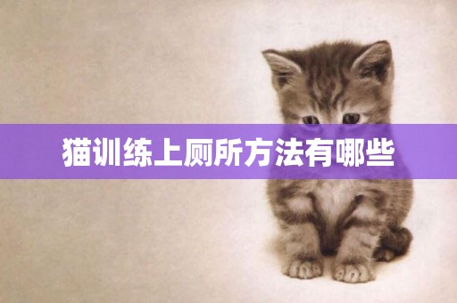 貓訓練上廁所方法有哪些