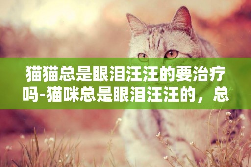 貓貓總是眼淚汪汪的要治療嗎-貓咪總是眼淚汪汪的，總流清眼淚，怎么回事？