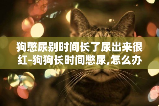 狗憋尿別時間長了尿出來很紅-狗狗長時間憋尿,怎么辦?