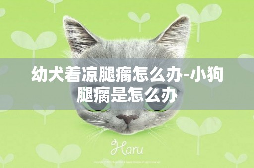 幼犬著涼腿瘸怎么辦-小狗腿瘸是怎么辦