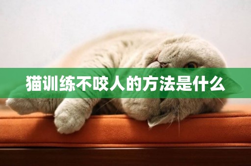 貓訓練不咬人的方法是什么