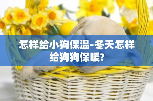 怎樣給小狗保溫-冬天怎樣給狗狗保暖?