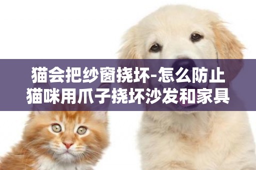 貓會把紗窗撓壞-怎么防止貓咪用爪子撓壞沙發和家具
