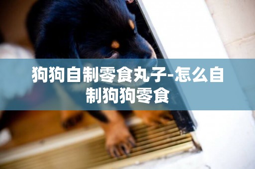 狗狗自制零食丸子-怎么自制狗狗零食