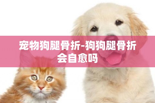 寵物狗腿骨折-狗狗腿骨折會自愈嗎