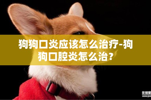 狗狗口炎應該怎么治療-狗狗口腔炎怎么治？