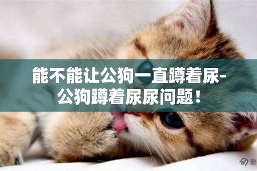 能不能讓公狗一直蹲著尿-公狗蹲著尿尿問題！