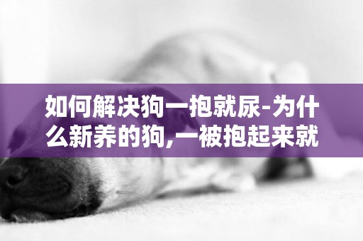 如何解決狗一抱就尿-為什么新養的狗,一被抱起來就會尿尿?
