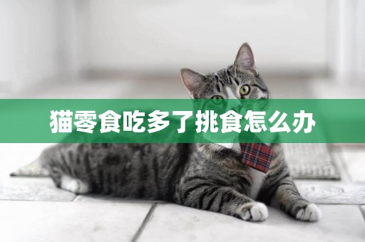 貓零食吃多了挑食怎么辦