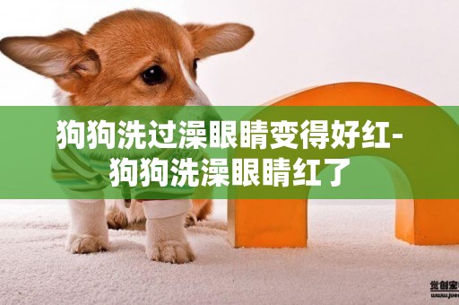 狗狗洗過澡眼睛變得好紅-狗狗洗澡眼睛紅了