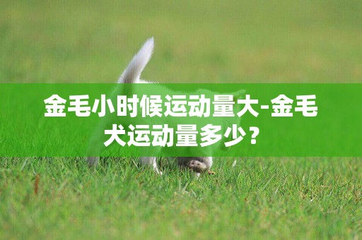 金毛小時候運動量大-金毛犬運動量多少？