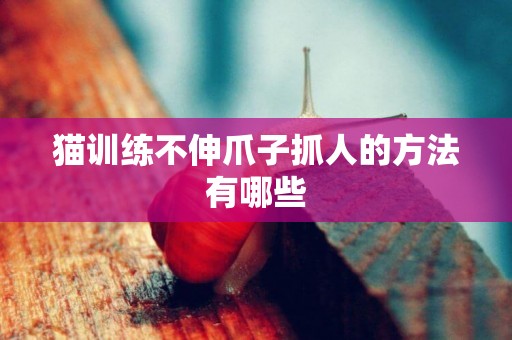 貓訓練不伸爪子抓人的方法有哪些