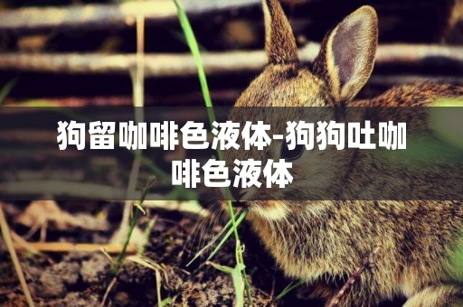 狗留咖啡色液體-狗狗吐咖啡色液體