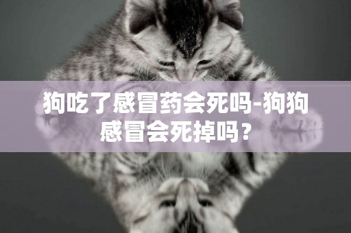 狗吃了感冒藥會死嗎-狗狗感冒會死掉嗎？