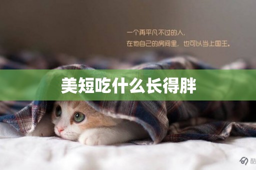 美短吃什么長得胖