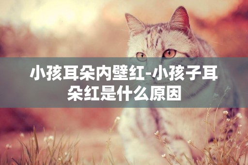 小孩耳朵內壁紅-小孩子耳朵紅是什么原因