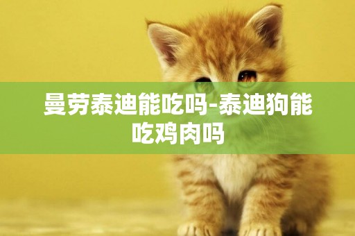 曼勞泰迪能吃嗎-泰迪狗能吃雞肉嗎