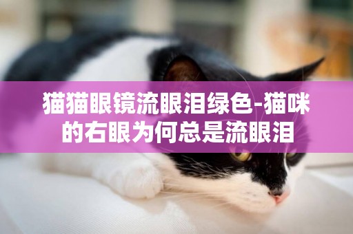 貓貓眼鏡流眼淚綠色-貓咪的右眼為何總是流眼淚