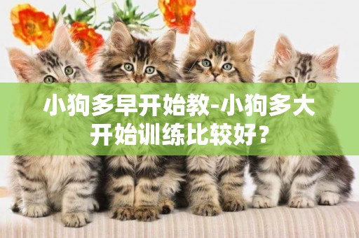 小狗多早開始教-小狗多大開始訓練比較好？