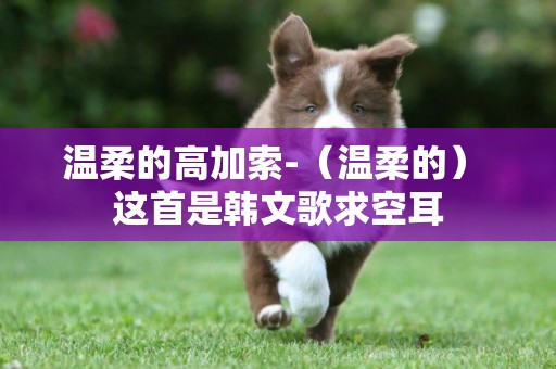 溫柔的高加索-（溫柔的） 這首是韓文歌求空耳