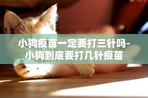 小狗疫苗一定要打三針嗎-小狗到底要打幾針疫苗