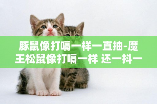 豚鼠像打嗝一樣一直抽-魔王松鼠像打嗝一樣 還一抖一抖的