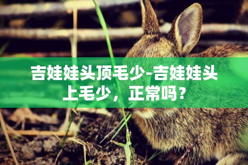 吉娃娃頭頂毛少-吉娃娃頭上毛少，正常嗎？