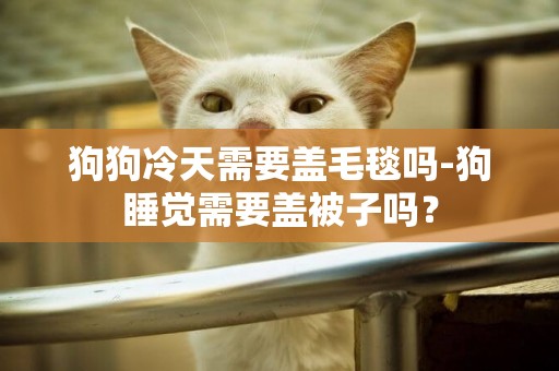 狗狗冷天需要蓋毛毯嗎-狗睡覺需要蓋被子嗎？