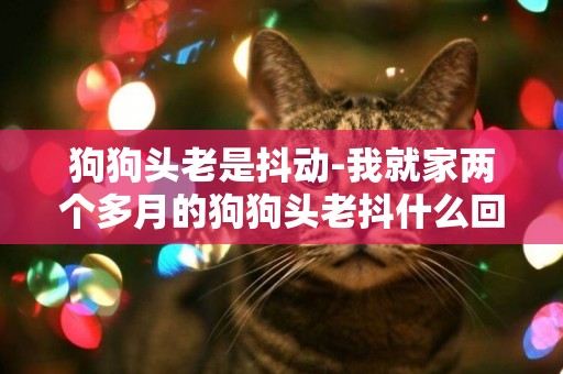 狗狗頭老是抖動-我就家兩個多月的狗狗頭老抖什么回事