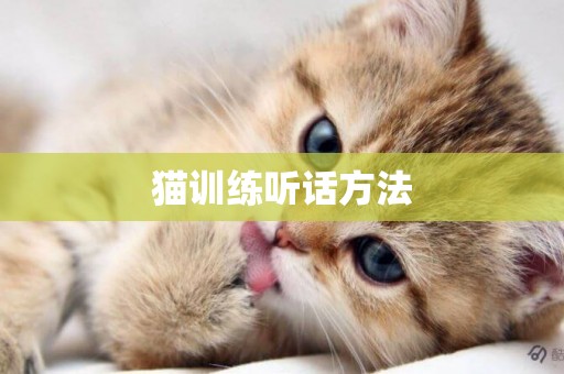 貓訓練聽話方法