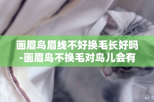 畫眉鳥眉線不好換毛長好嗎-畫眉鳥不換毛對鳥兒會有什么影響嗎？