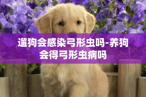 遛狗會感染弓形蟲嗎-養狗會得弓形蟲病嗎