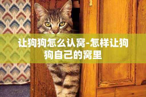 讓狗狗怎么認窩-怎樣讓狗狗自己的窩里