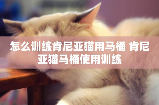 怎么訓練肯尼亞貓用馬桶 肯尼亞貓馬桶使用訓練