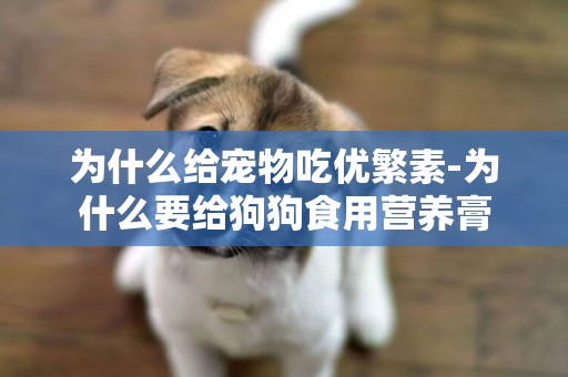 為什么給寵物吃優繁素-為什么要給狗狗食用營養膏
