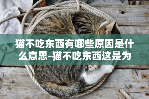 貓不吃東西有哪些原因是什么意思-貓不吃東西這是為什么？