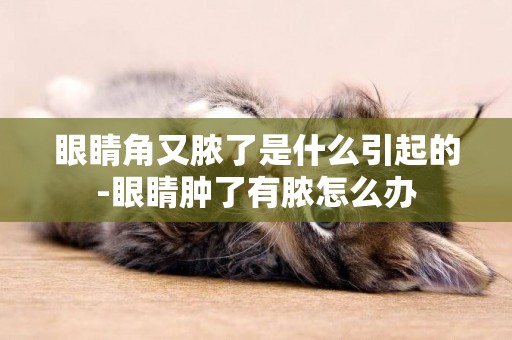 眼睛角又膿了是什么引起的-眼睛腫了有膿怎么辦