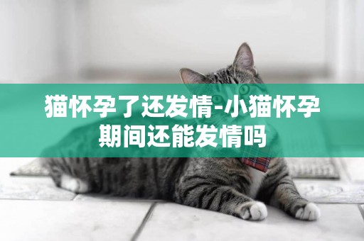 貓懷孕了還發情-小貓懷孕期間還能發情嗎