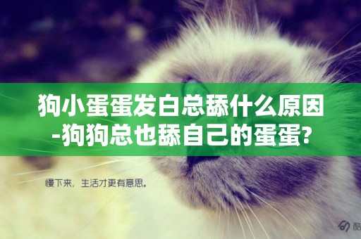 狗小蛋蛋發白總舔什么原因-狗狗總也舔自己的蛋蛋?
