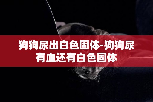狗狗尿出白色固體-狗狗尿有血還有白色固體