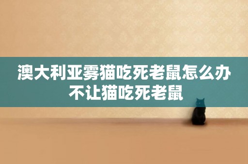 澳大利亞霧貓吃死老鼠怎么辦 不讓貓吃死老鼠