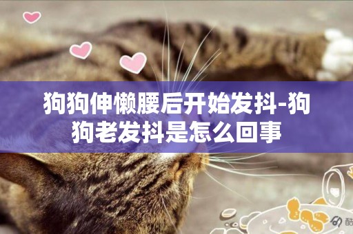 狗狗伸懶腰后開始發抖-狗狗老發抖是怎么回事