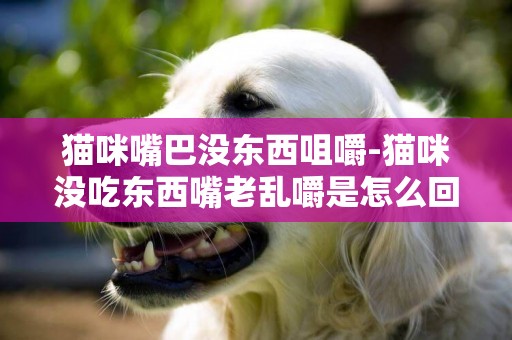 貓咪嘴巴沒東西咀嚼-貓咪沒吃東西嘴老亂嚼是怎么回事