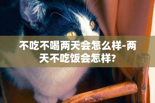 不吃不喝兩天會怎么樣-兩天不吃飯會怎樣?